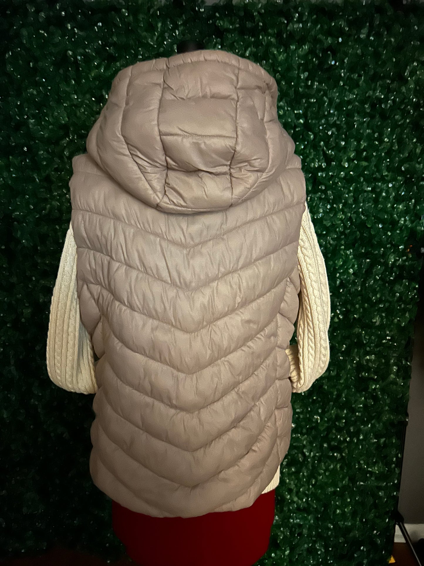 Hooded Ski Vest and Turtleneck sweater